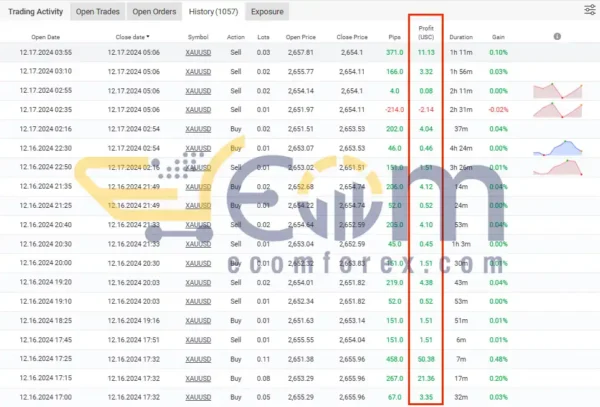 Casino AVG BACKUP MT4 Performance MyFxBook