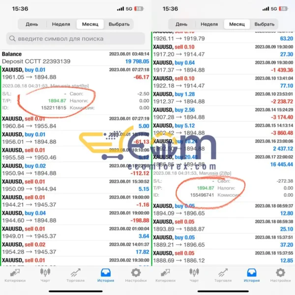 Marussia EA MT4 Live Signal