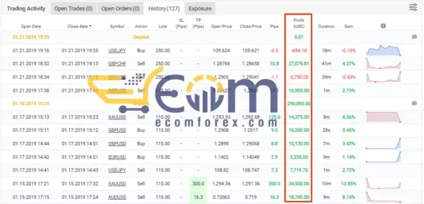 Royal Hedge Fund EA Signal MyFxBook