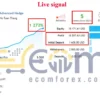 Advanced Hedge MT4 Live Signal