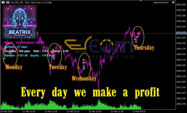 Beatrix Inventor MT5 Review