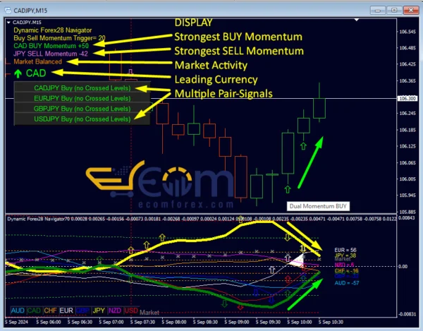 Dynamic Forex28 Navigator MT4 Performance Reviews