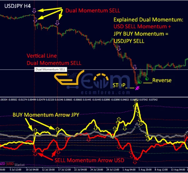 Dynamic Forex28 Navigator MT4 Review
