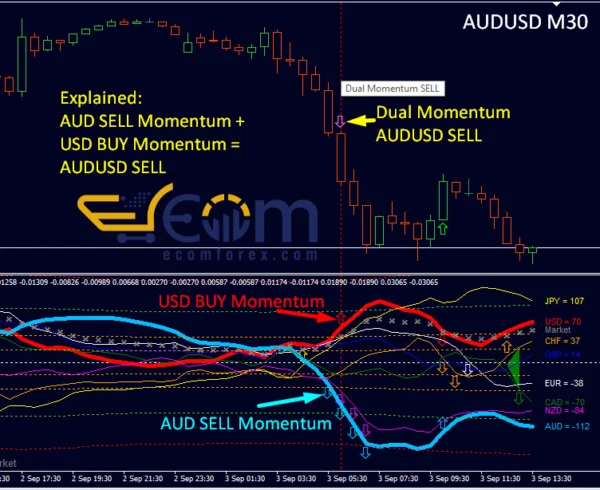 Dynamic Forex28 Navigator MT4 Reviews