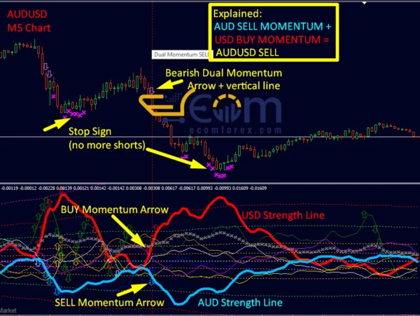 Dynamic Forex28 Navigator Performance Reviews