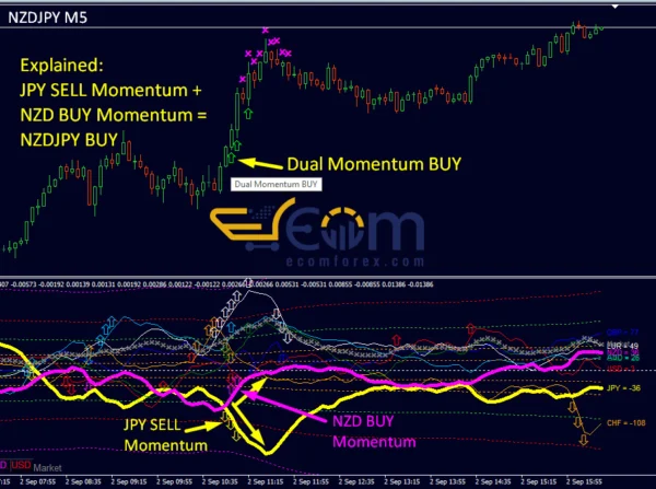 Dynamic Forex28 Navigator Reviews