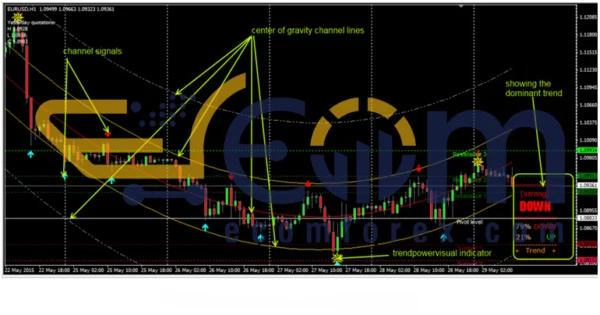 Forbex Trading System Review