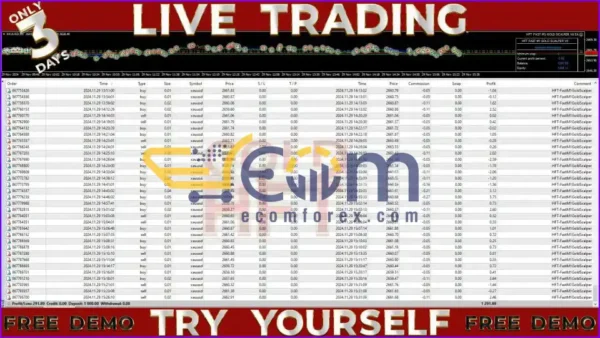 HFT Fast M1 Gold Scalper V6 EA MT4 Performance Trading