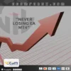 Never Losing EA MT4