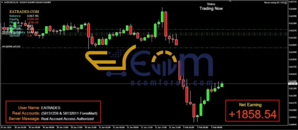 Never Losing MT4 Trading Performance