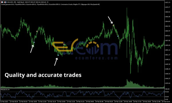Oracle EA MT5 Review