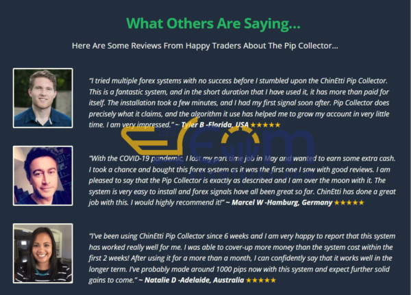 Pip Collector System MT4 Review