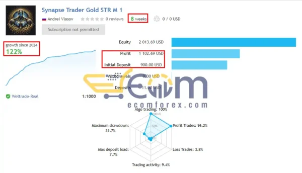 Synapse Trader EA Live Signal