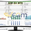 AIM EA Backtests