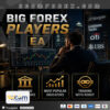 Big Forex Players MT5