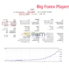 Big Forex Players MT5 Backtest