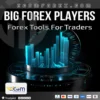 Big Forex Players MT5 Logo