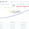 Big Forex Players MT5 Review