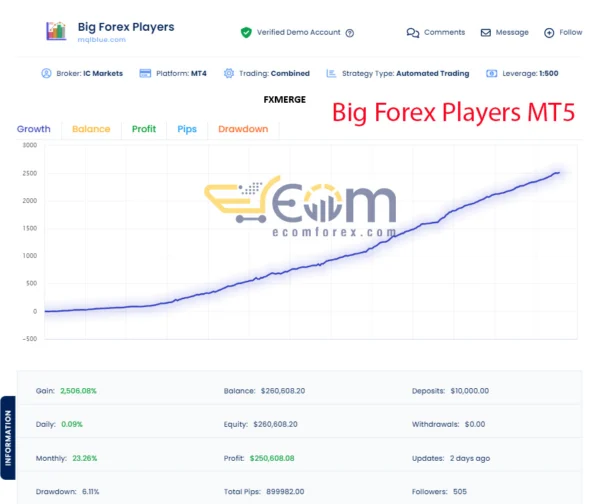 Big Forex Players MT5 Review