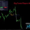 Big Forex Players MT5 Reviews