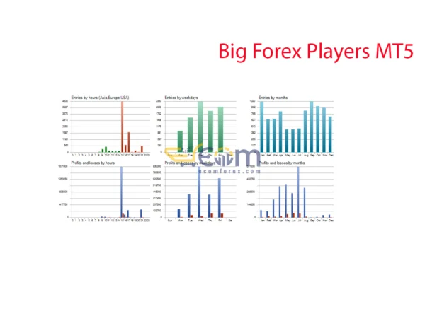 Big Forex Players Review