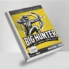 Big Hunter EA MT4