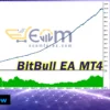 BitBull EA Backtest
