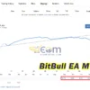 BitBull EA Live Result
