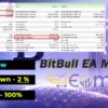 BitBull EA MT4 Backtest