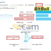 BitBull EA MT4 Live Result