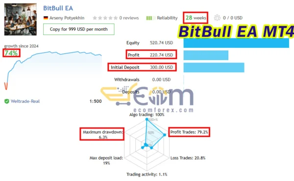 BitBull EA MT4 Live Result