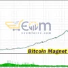 Bitcoin Magnet X Turbo EA MT4 Backtests