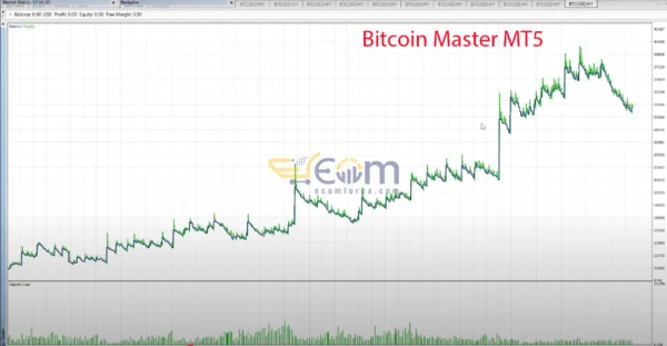 Bitcoin Master MT5 Review