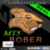 Bober Real MT5 Logo