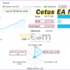 Cetus EA MT5 Live Result