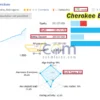 Cherokee EA MT4 Live Result