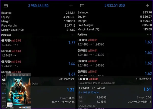 Dominant EA MT5 Live Results