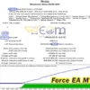 Force EA MT4 Backtest