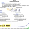 Force EA MT4 Backtests