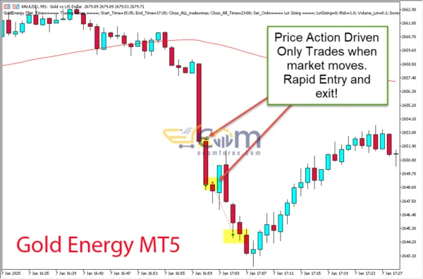 Gold Energy MT5 Review