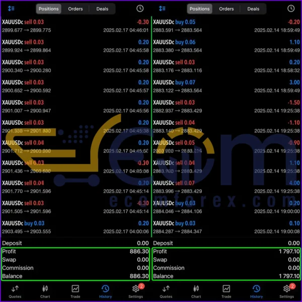 Gold Insane EA MT5 Live Signal