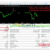 Gold SWmax EA Backtests