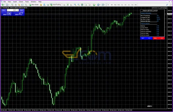 IS M1 EA MT4 Backtests