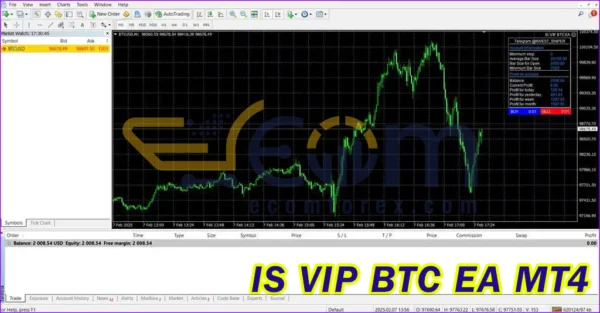 IS VIP BTC EA MT4 Backtests