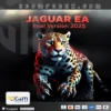 Jaguar EA Real Version 2025 MT5 Logo