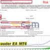 Marauder EA MT4 Backtests