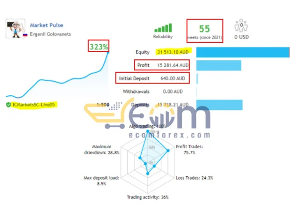 Market Pulse EA MT4 Live Result