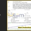 Nash Professional EA Backtest