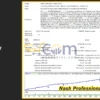 Nash Professional EA MT4 Backtest
