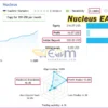 Nucleus EA MT5 Live Signal